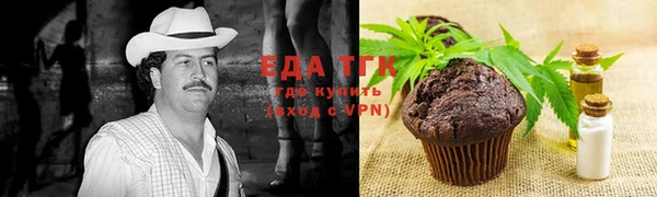 индика Абинск