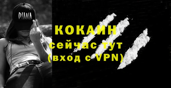 2c-b Козельск
