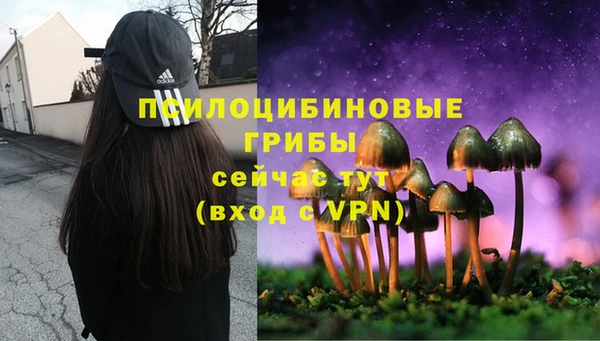 индика Абинск