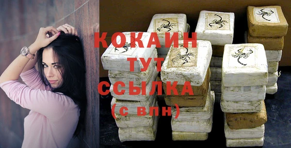 индика Абинск