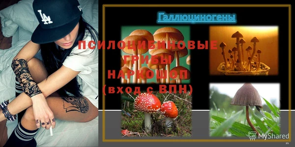 ECSTASY Алексин