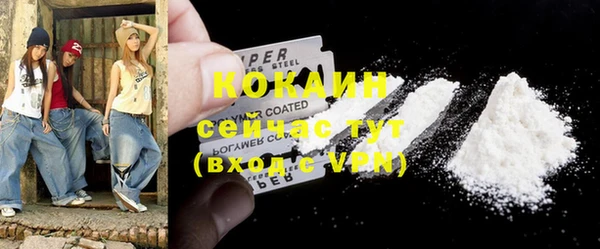 индика Абинск