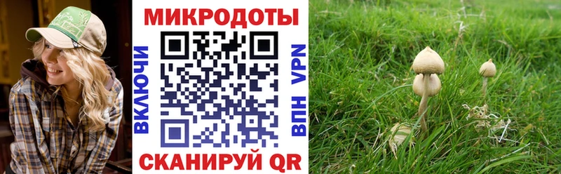 Псилоцибиновые грибы MAGIC MUSHROOMS  мега зеркало  Ковдор  где можно купить наркотик 